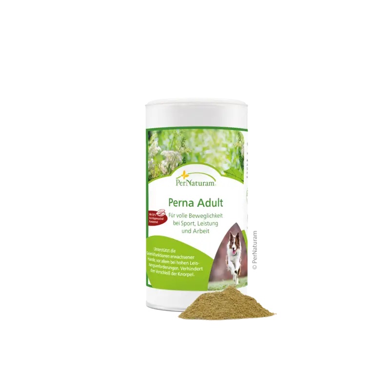 2121-1.jpg
